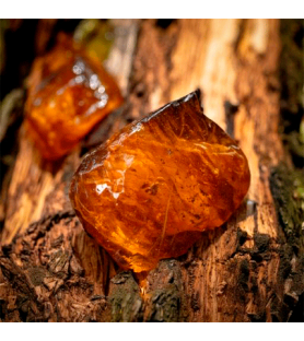 Resin Plus flavour